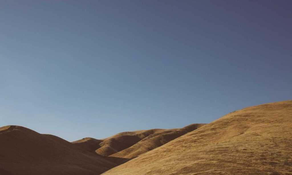 cleedlehoofbargainhumf