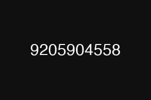 9205904558