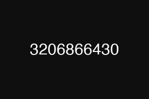 3206866430