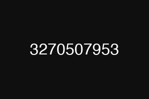 3270507953