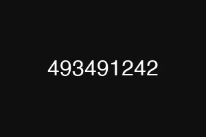 493491242