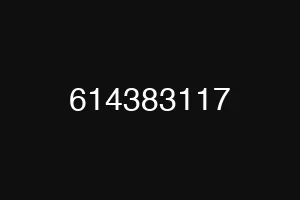 614383117