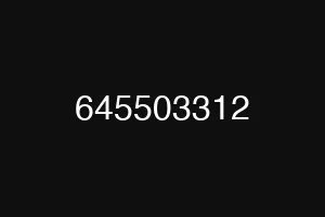 645503312