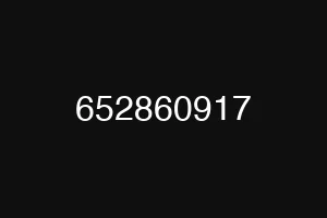 652860917