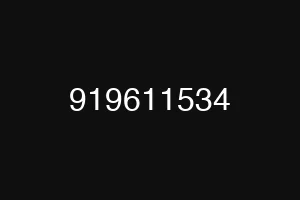 919611534