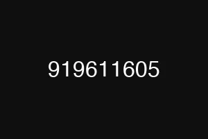 919611605