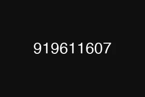919611607