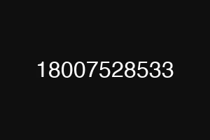 18007528533