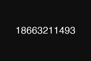 18663211493