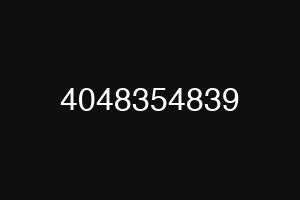 4048354839