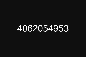 4062054953