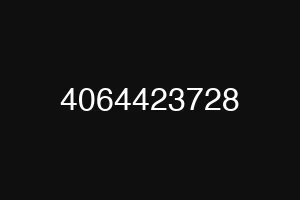 4064423728