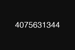 4075631344