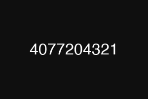 4077204321