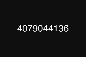 4079044136
