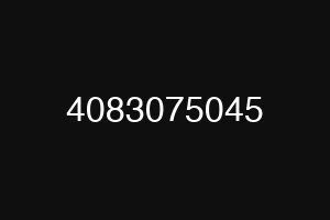 4083075045