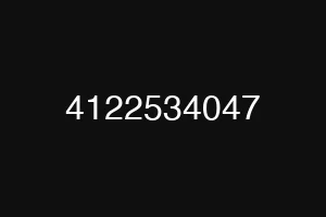 4122534047