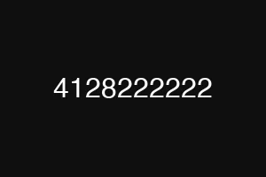 4128222222