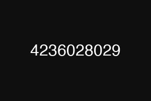 4236028029
