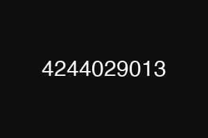 4244029013
