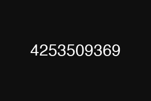 4253509369