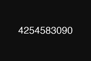 4254583090