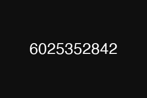 6025352842