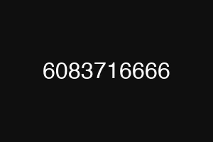 6083716666