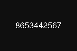 8653442567