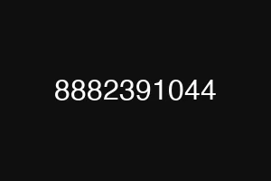 8882391044