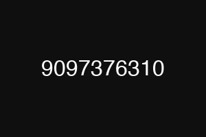 9097376310