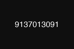 9137013091